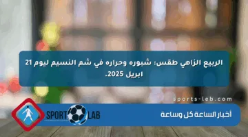 الربيع الزاهي طقس: شبورة وحرارة في شم النسيم ليوم 21 أبريل 2025.